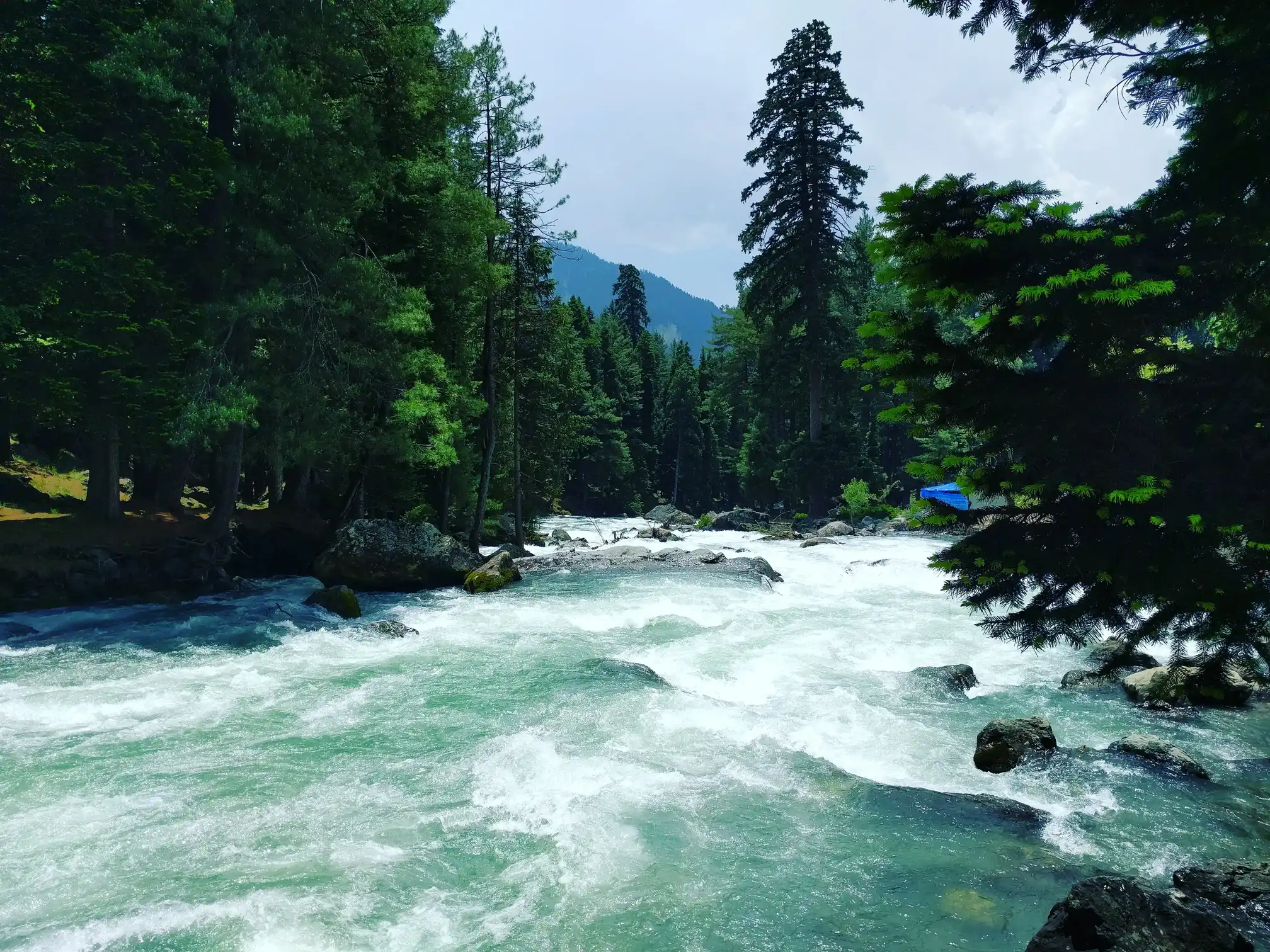 instagram-5